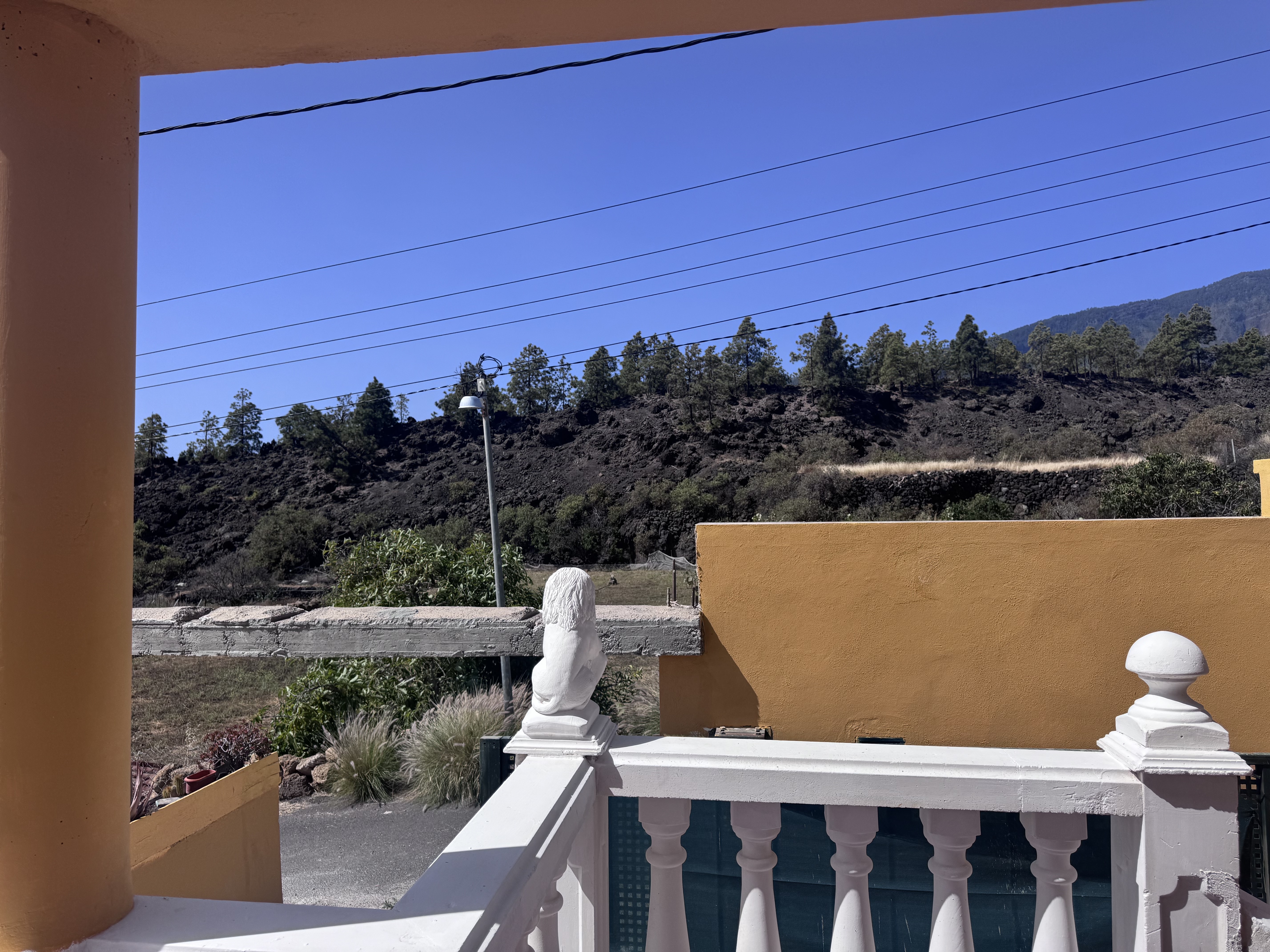 alquiler foto 2