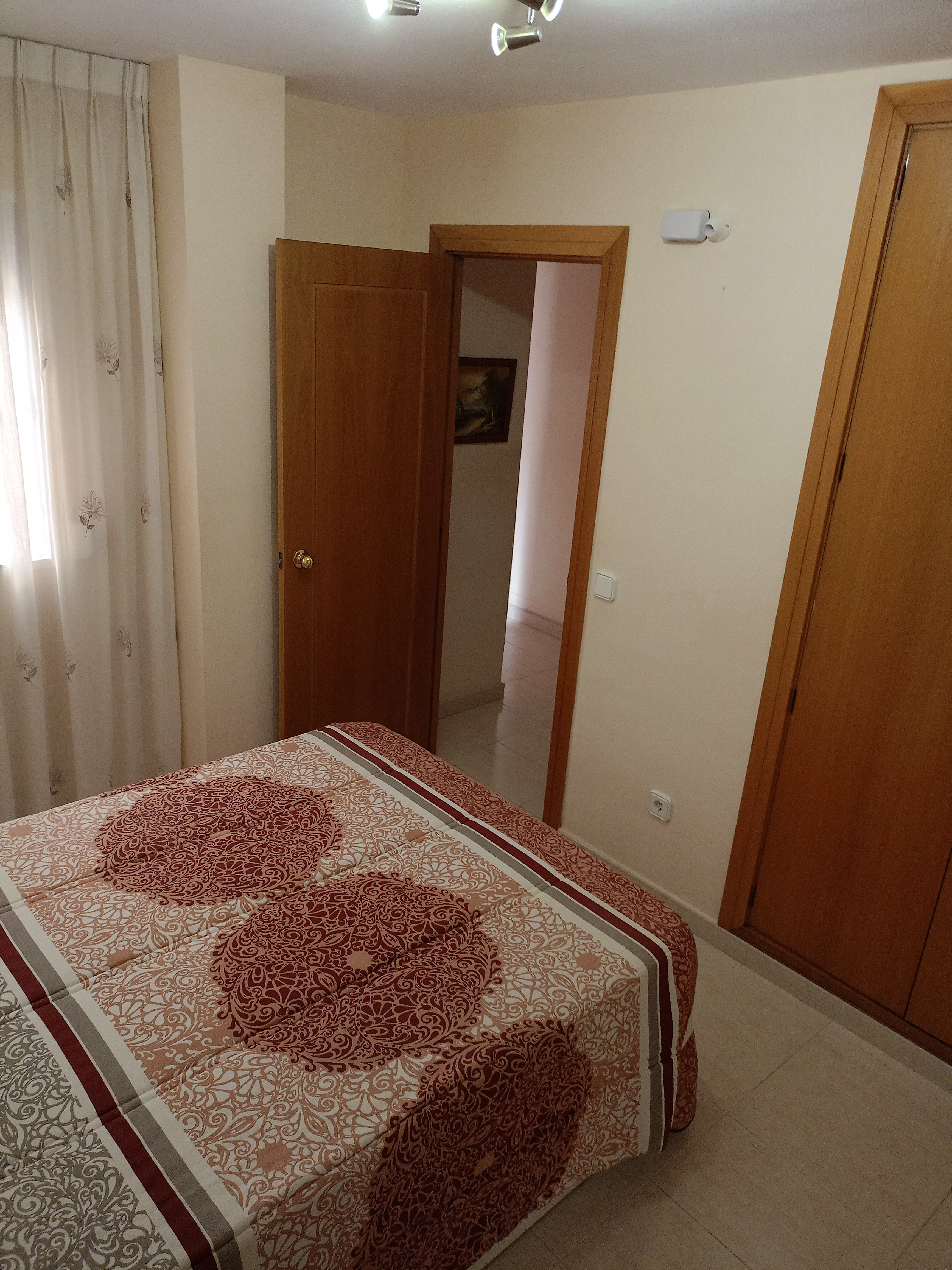 Alquiler de piso en Benidorm foto 2