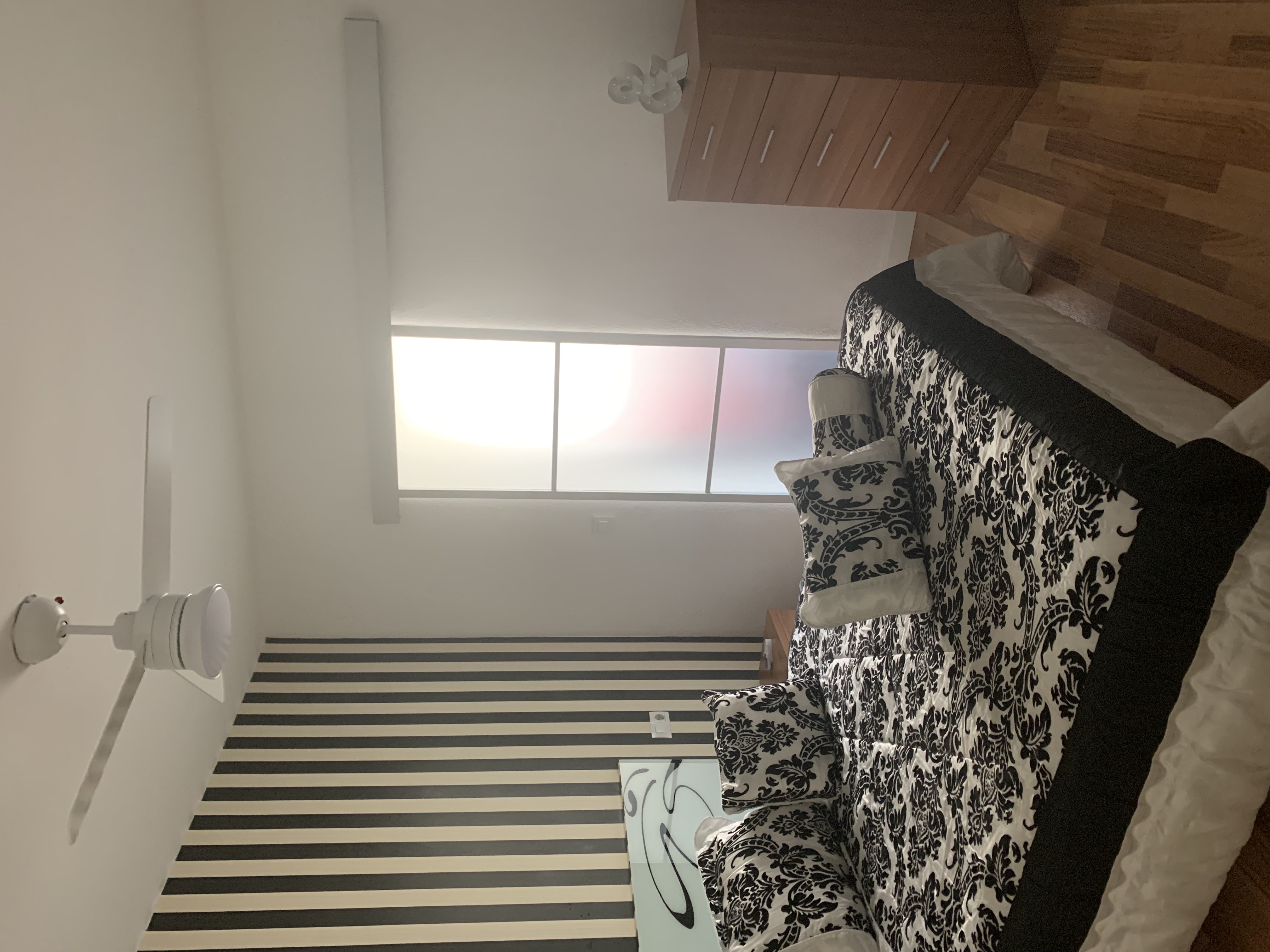 alquiler vivienda foto 8